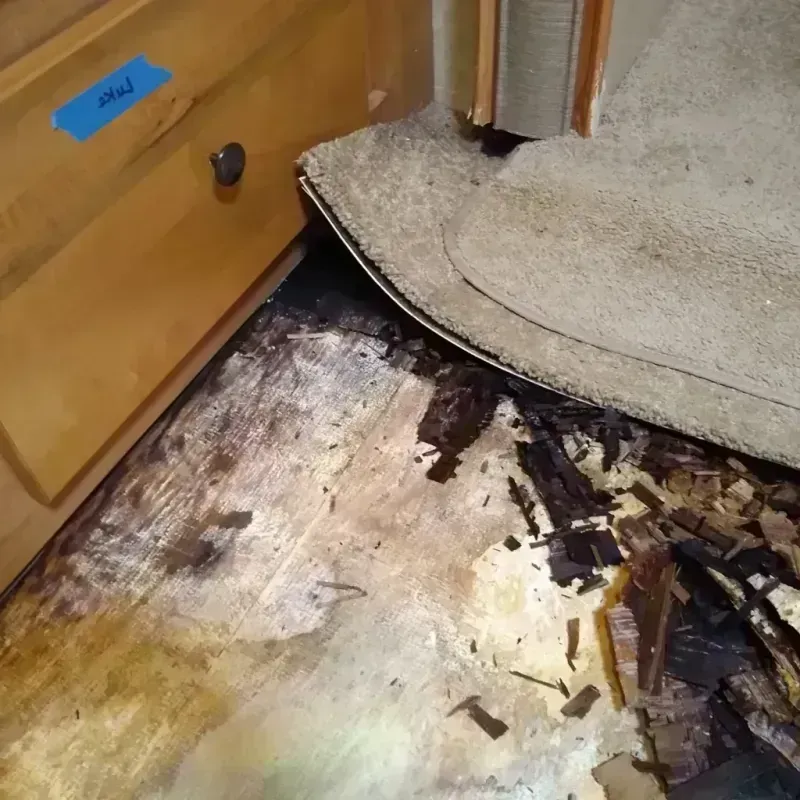 Wood Floor Water Damage in Saint Martin, MS